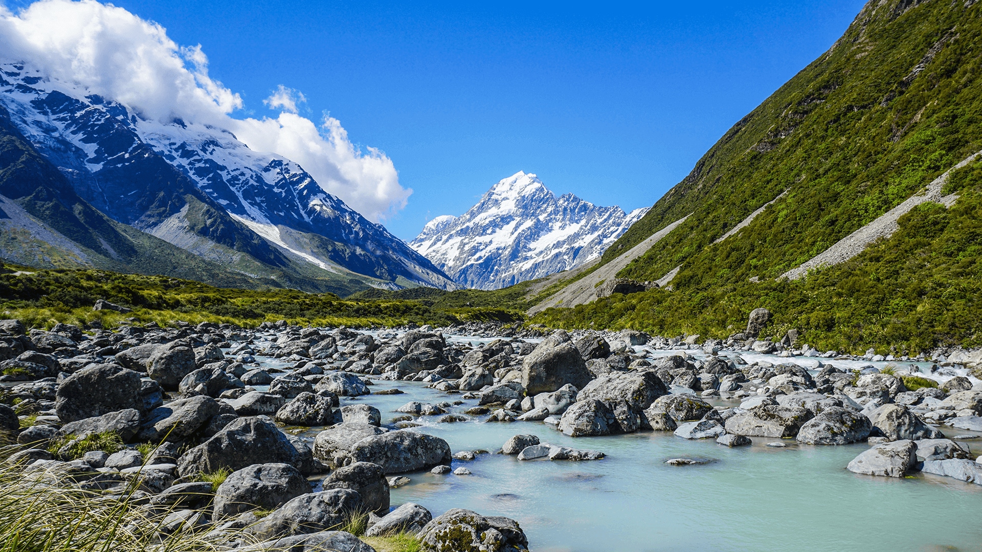 Win A Trip To New Zealand